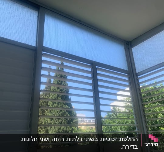 חלונות עם תריסים ונוף עצים בחוץ